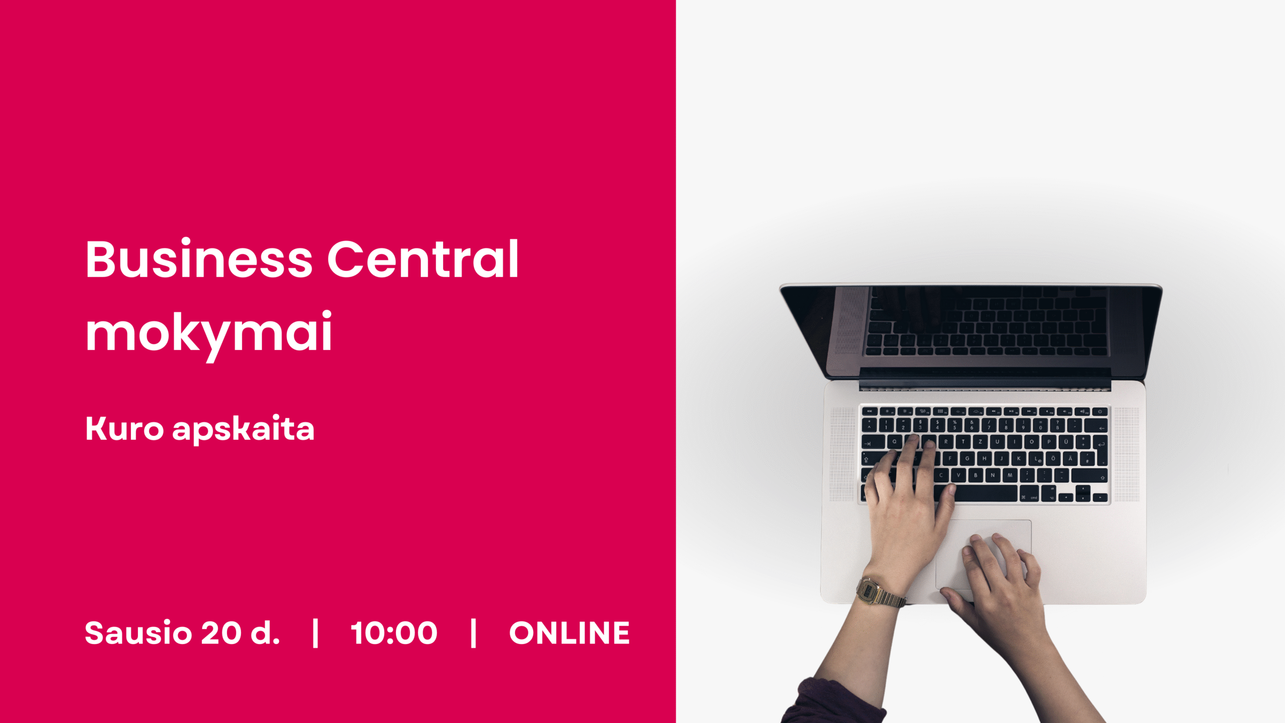 WEB paveiksliukai (2)